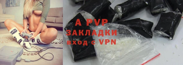 бошки Дмитров