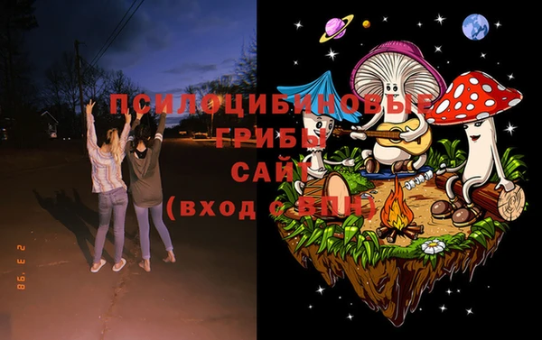 мет Дмитриев