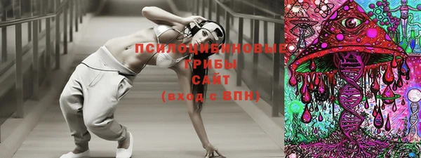 мет Дмитриев