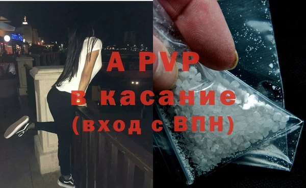 бошки Дмитров