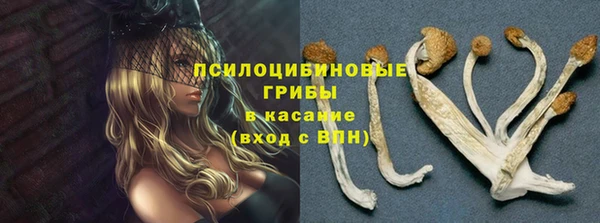 мет Дмитриев
