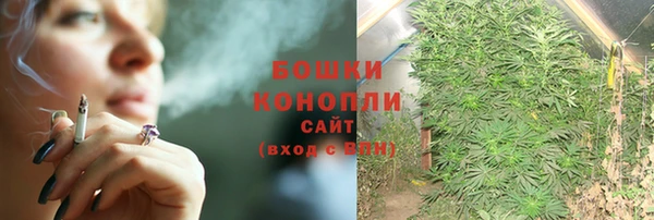 мет Дмитриев